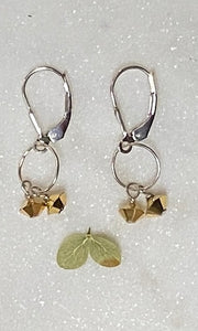 Mini Gold Dangle Earrings