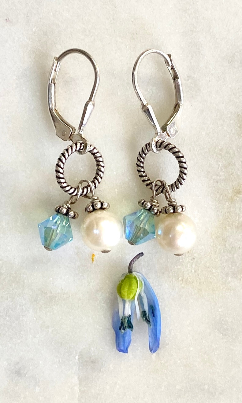 Robin's Egg Dangle Earrings