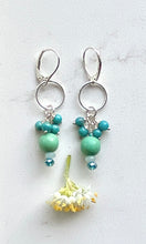 Load image into Gallery viewer, Special Turquoise Earrings
