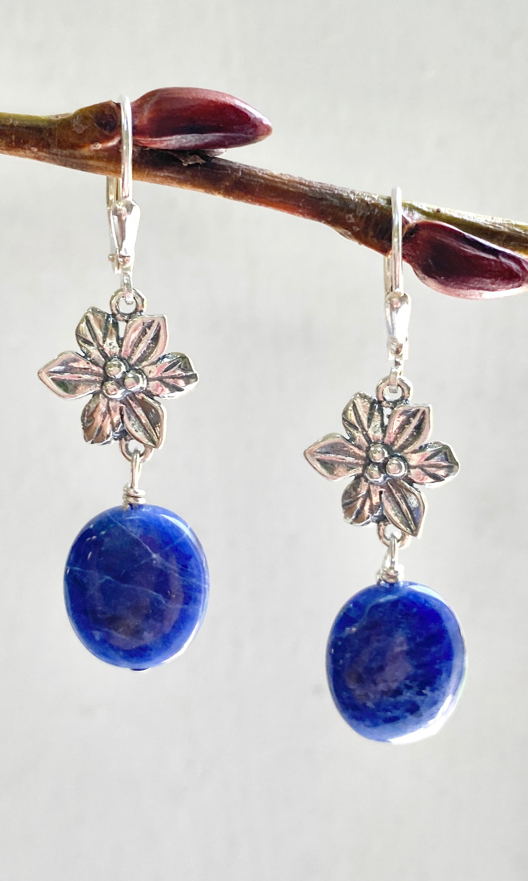 Beautiful Blue Earrings