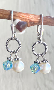 Robin's Egg Dangle Earrings