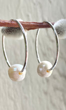Load image into Gallery viewer, Pearl and Hoop Earrings

