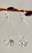Load image into Gallery viewer, Long Smokey Crystal Earrings
