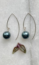 Load image into Gallery viewer, Peacock Pearl Earrings

