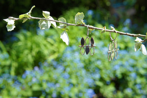 Contemporary Leaf Earrings