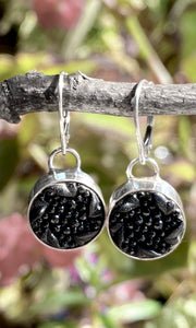 Small Black Button Earrings