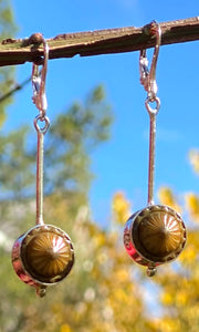 Contemporary Brown Earrings