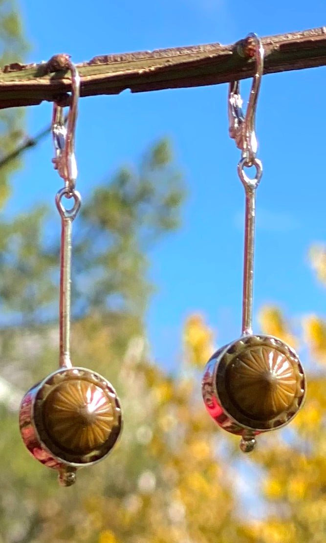 Contemporary Brown Earrings